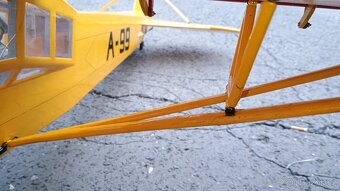 Fieseler Fi-156 Storch BlackHorse - 9