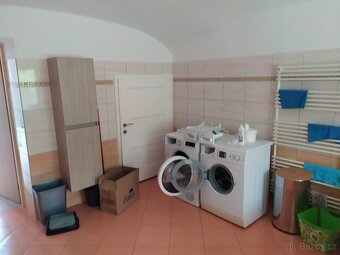 Pronájem rodinného domu 4+kk u lesa Sosnová - Lesní domky - 9