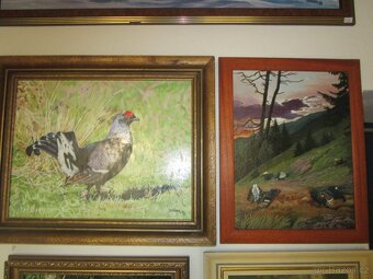 obrazy pro myslivce-bažant-tetřev-jelen-olejomalba - 9