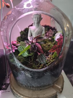 Prodej krevetek a doplňků - 9