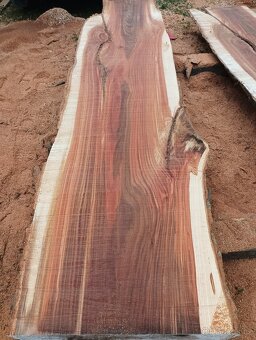 Fošny z červeného Jilmu - 9