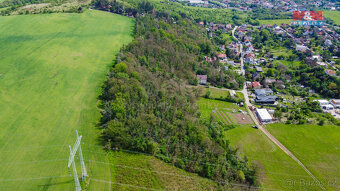 Prodej lesa, 5846 m², Vráž - 9