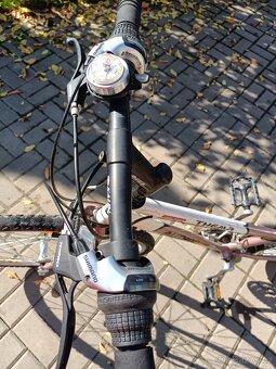 Dámské KOLO AUTHOR - 9