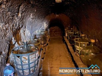 Prodej vinného sklepa s lisovnou, k.ú. Vrbovec - 9