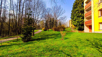 Prodej družstevního bytu 1+kk, Orlová – Lutyně, ulice Osvobo - 9
