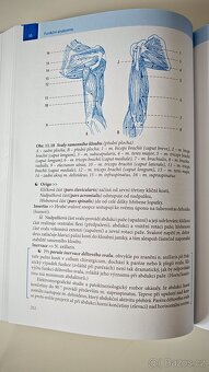 Učebnice FUNKČNÍ ANATOMIE - Ivan Dylevský - 9