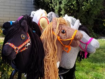 Hobby horse pro malé děti - 9