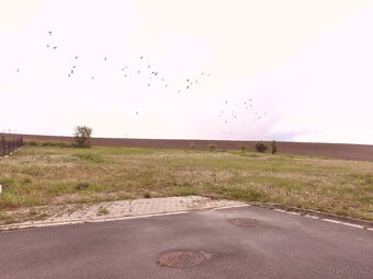 Prodej stavebního pozemku 1 238 m² Sezemice – Za Střelnicí - 9