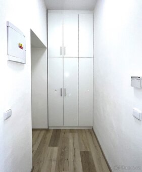 Prostorný 1+kk Lidická u Lužánek i k dlouhodobému nájmu - 9