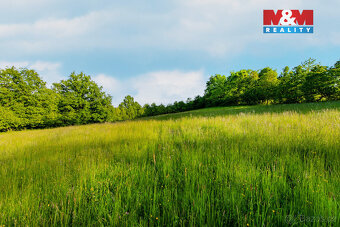 Prodej louky, 18692 m², Jílové u Prahy - 9