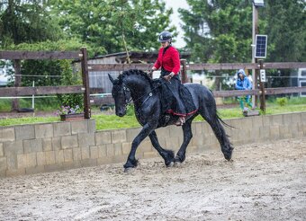 Klisna Pura raza Española s hříbětem - 9