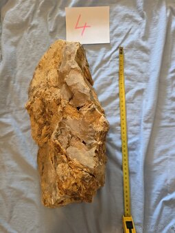 Zkamenělé dřevo do akvária - 9