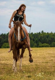 Obsedání koní - 9