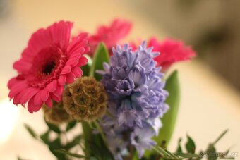 Canon zrcadlovka 2000d - 9