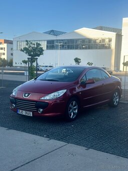 Peugeot 307 CC - 9