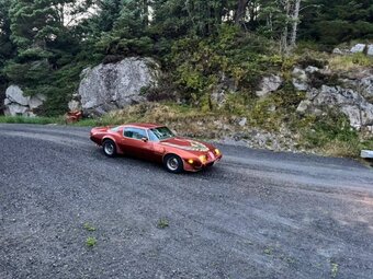 Pontiac Firebird Trans Am z roku 1980 - 9