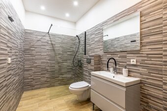 Rodinný Dům a Ubytovací zařízení a stavební pozemek - 9