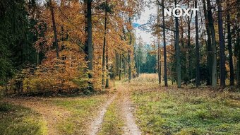 Prodej pozemek Lesy, 10398㎡ - 9