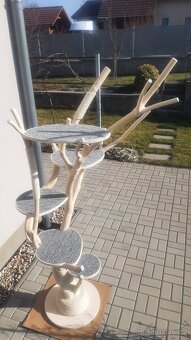Kocici strom v bile lazure - skrabadlo - 9
