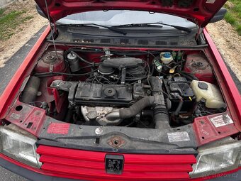 Peugeot 309 MAGIC - 9