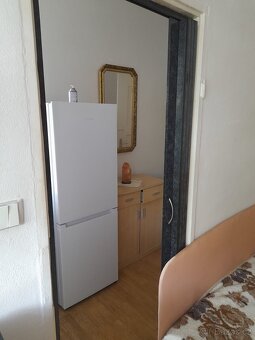 Byt v RD 1+1 s terasou - 9