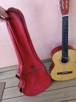 Kytara Giannini s obalem. - 9