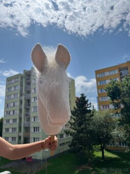 Hobby Horse - 9