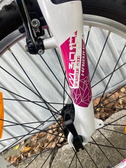 Dětské kolo HAIBIKE LITTLE LIFE 20 - růžové - 9
