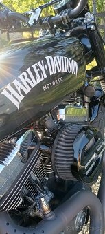 Harley Davidson 1200C - 9