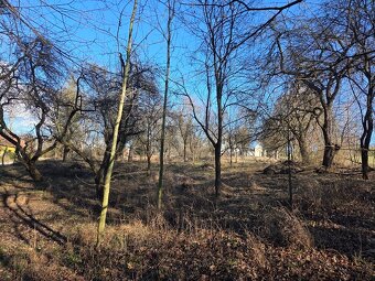 Prodej RD 3+1 Rudice - 9