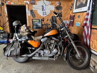 Harley Davidson 883 - 9
