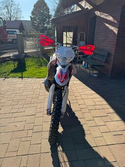 Beta rr 250 Racing 2019 - 9