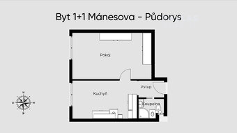 Pronájem bytu 1+1, 52 m² se zahradou a parkováním, ul. Mánes - 9