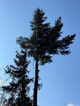 Plošina pronájem, kácení stromů, čištění střech - 9