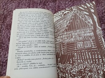 BOŘÍK & spol. a další dětské knížky... - 9