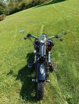 Harley Davidson FLSTS Heritage Springer - 9