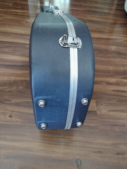 akustická kytara Washburn D9 - 9