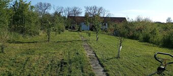 Zahrada a další pozemky 3674m2 - 9