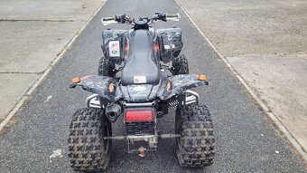 Kawasaki KFX 700 - 9