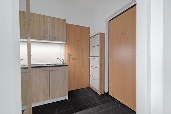 Pronájem byt, Ostrava, Arbesova - 9