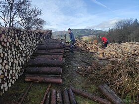 Řezání a štípání dřeva - 9