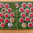 Oficiální kolekce české fotbalové reprezentace 2008 - 9