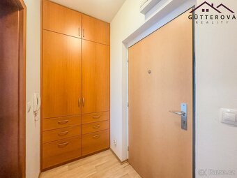 Pronájem byty 1+kk, 28 m2 - Plzeň - Východní Předměstí - 9