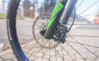 FOCUS SPINE C LITE 22G 2017 - 9