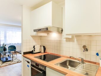 Třípokojový byt, kuchyň a balkon k pronájmu - 9