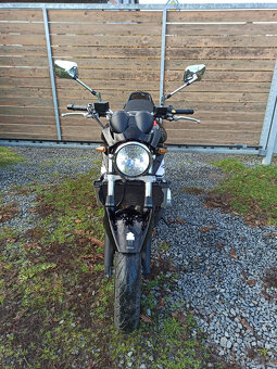 Suzuki GSF 650 Bandit R.V.2009 - 9