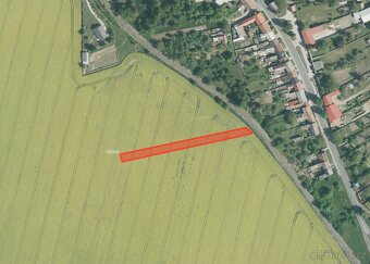 Zemědělská půda, prodej, Kojetín, Havlíčkův Brod - 9