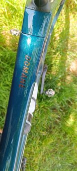 TREK DOMANE SL 5 56 2025 - 9