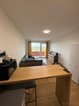 Olomouc A. Rašína 2+kk s balkonem - 9