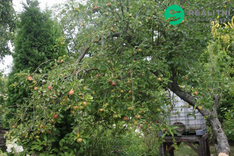 Zahrada s chatou v Čáslavi - 9